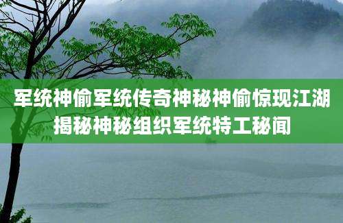 军统神偷军统传奇神秘神偷惊现江湖揭秘神秘组织军统特工秘闻