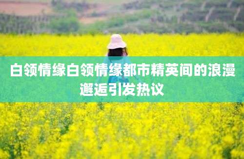 白领情缘白领情缘都市精英间的浪漫邂逅引发热议