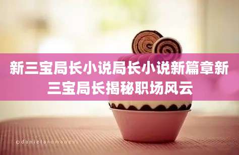 新三宝局长小说局长小说新篇章新三宝局长揭秘职场风云