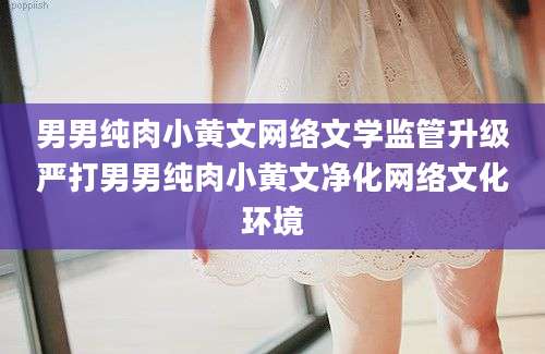 男男纯肉小黄文网络文学监管升级严打男男纯肉小黄文净化网络文化环境