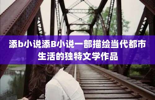 添b小说添B小说一部描绘当代都市生活的独特文学作品