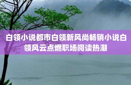 白领小说都市白领新风尚畅销小说白领风云点燃职场阅读热潮