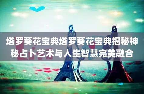 塔罗葵花宝典塔罗葵花宝典揭秘神秘占卜艺术与人生智慧完美融合