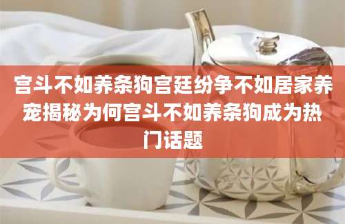 宫斗不如养条狗宫廷纷争不如居家养宠揭秘为何宫斗不如养条狗成为热门话题