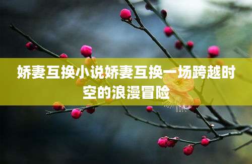 娇妻互换小说娇妻互换一场跨越时空的浪漫冒险