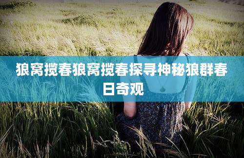 狼窝揽春狼窝揽春探寻神秘狼群春日奇观