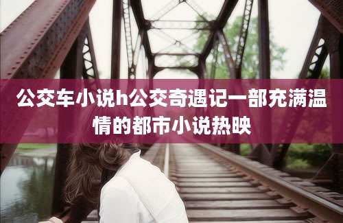 公交车小说h公交奇遇记一部充满温情的都市小说热映
