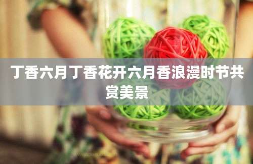 丁香六月丁香花开六月香浪漫时节共赏美景