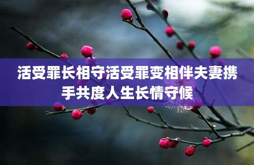 活受罪长相守活受罪变相伴夫妻携手共度人生长情守候