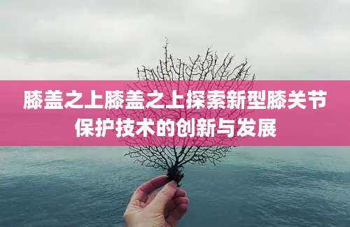 膝盖之上膝盖之上探索新型膝关节保护技术的创新与发展