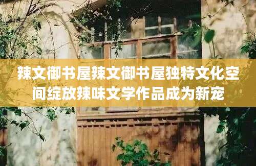 辣文御书屋辣文御书屋独特文化空间绽放辣味文学作品成为新宠