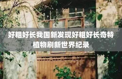 好粗好长我国新发现好粗好长奇特植物刷新世界纪录
