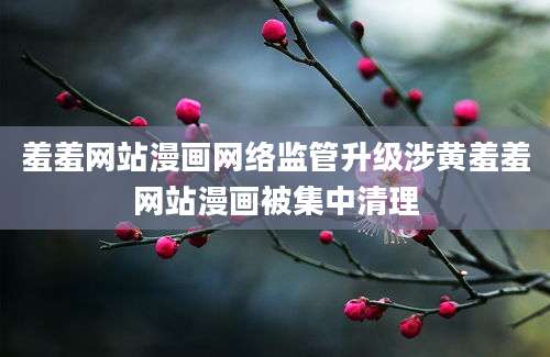 羞羞网站漫画网络监管升级涉黄羞羞网站漫画被集中清理