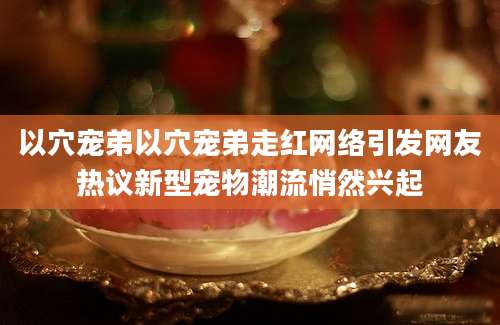 以穴宠弟以穴宠弟走红网络引发网友热议新型宠物潮流悄然兴起