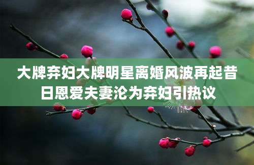 大牌弃妇大牌明星离婚风波再起昔日恩爱夫妻沦为弃妇引热议