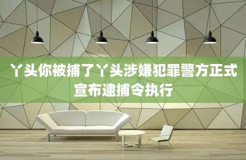 丫头你被捕了丫头涉嫌犯罪警方正式宣布逮捕令执行