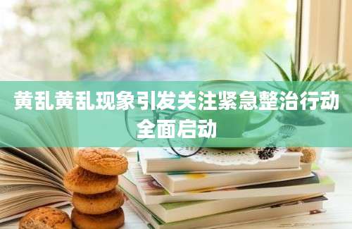 黄乱黄乱现象引发关注紧急整治行动全面启动