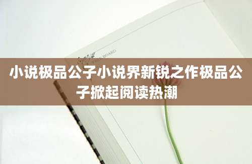 小说极品公子小说界新锐之作极品公子掀起阅读热潮