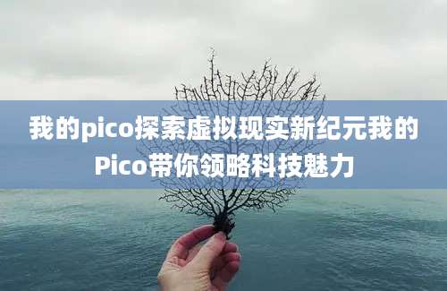 我的pico探索虚拟现实新纪元我的Pico带你领略科技魅力