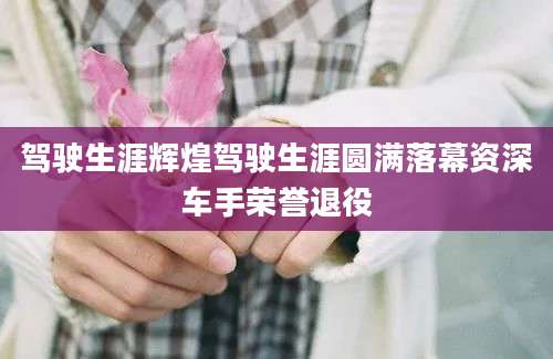 驾驶生涯辉煌驾驶生涯圆满落幕资深车手荣誉退役