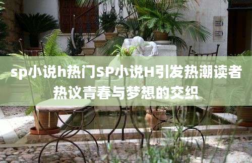 sp小说h热门SP小说H引发热潮读者热议青春与梦想的交织