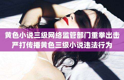 黄色小说三级网络监管部门重拳出击严打传播黄色三级小说违法行为