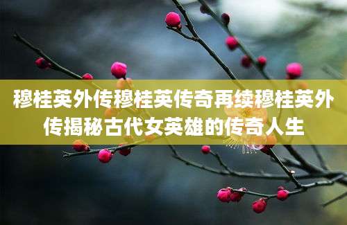 穆桂英外传穆桂英传奇再续穆桂英外传揭秘古代女英雄的传奇人生