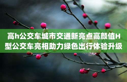 高h公交车城市交通新亮点高颜值H型公交车亮相助力绿色出行体验升级