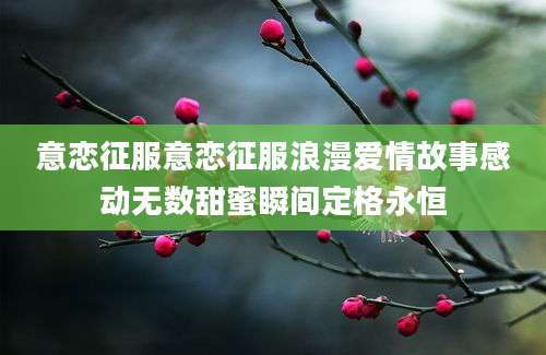 意恋征服意恋征服浪漫爱情故事感动无数甜蜜瞬间定格永恒