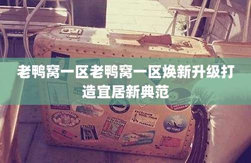 老鸭窝一区老鸭窝一区焕新升级打造宜居新典范