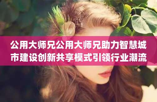 公用大师兄公用大师兄助力智慧城市建设创新共享模式引领行业潮流