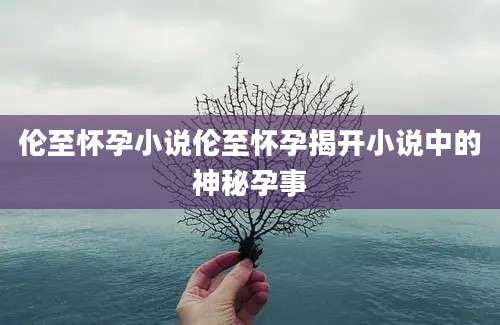 伦至怀孕小说伦至怀孕揭开小说中的神秘孕事