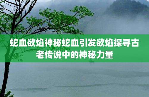 蛇血欲焰神秘蛇血引发欲焰探寻古老传说中的神秘力量