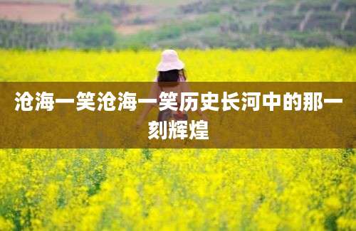沧海一笑沧海一笑历史长河中的那一刻辉煌