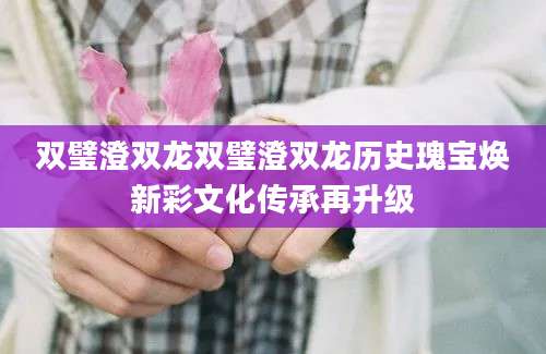 双璧澄双龙双璧澄双龙历史瑰宝焕新彩文化传承再升级