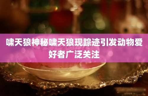 啸天狼神秘啸天狼现踪迹引发动物爱好者广泛关注