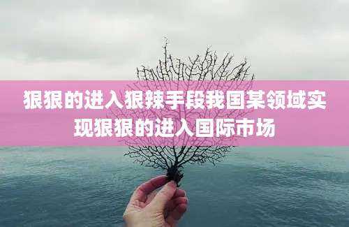 狠狠的进入狠辣手段我国某领域实现狠狠的进入国际市场