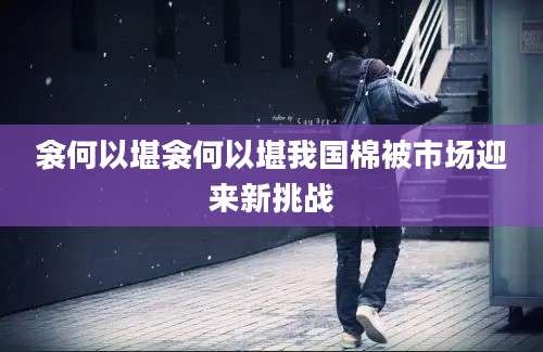 衾何以堪衾何以堪我国棉被市场迎来新挑战