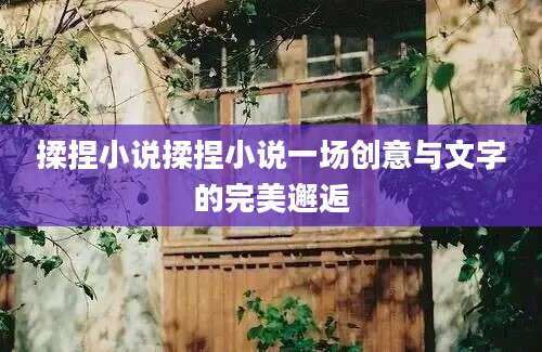 揉捏小说揉捏小说一场创意与文字的完美邂逅