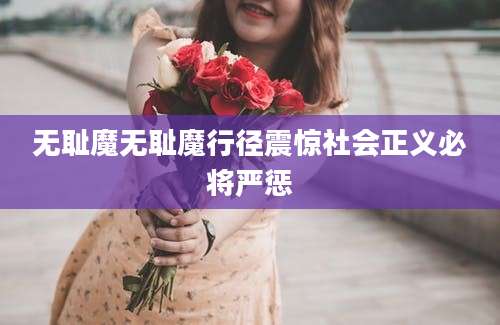 无耻魔无耻魔行径震惊社会正义必将严惩