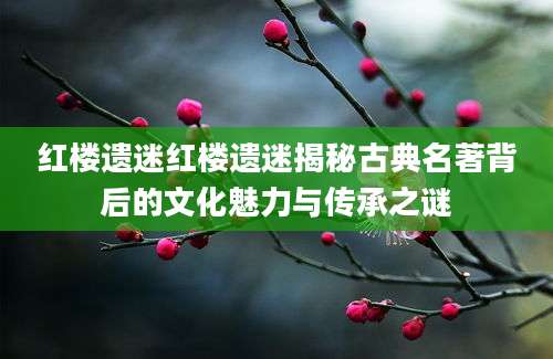 红楼遗迷红楼遗迷揭秘古典名著背后的文化魅力与传承之谜