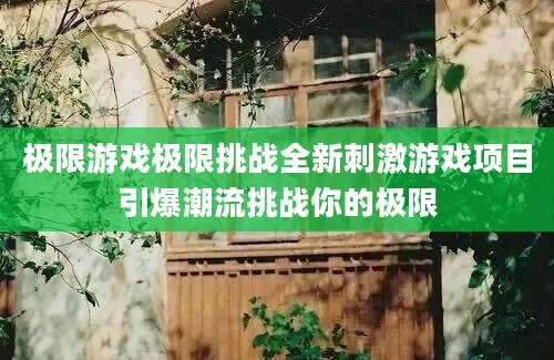 极限游戏极限挑战全新刺激游戏项目引爆潮流挑战你的极限