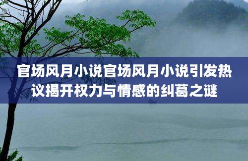 官场风月小说官场风月小说引发热议揭开权力与情感的纠葛之谜