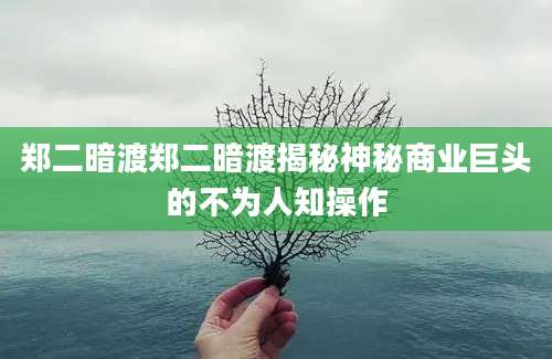 郑二暗渡郑二暗渡揭秘神秘商业巨头的不为人知操作