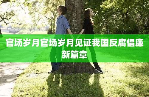 官场岁月官场岁月见证我国反腐倡廉新篇章