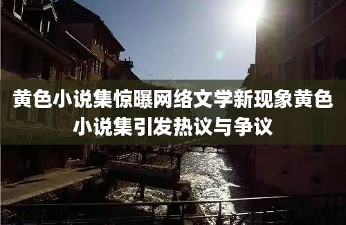 黄色小说集惊曝网络文学新现象黄色小说集引发热议与争议