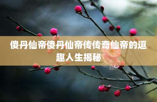 傻丹仙帝傻丹仙帝传传奇仙帝的逗趣人生揭秘
