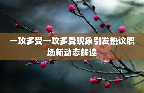 一攻多受一攻多受现象引发热议职场新动态解读