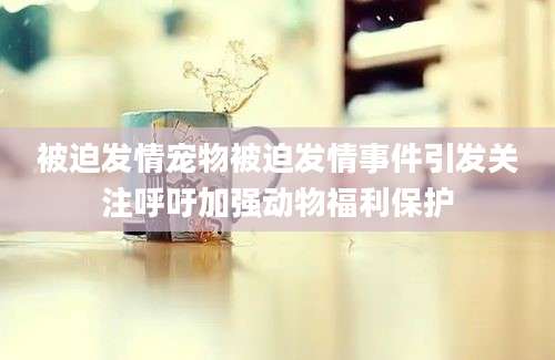 被迫发情宠物被迫发情事件引发关注呼吁加强动物福利保护
