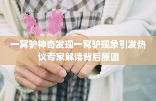 一窝驴神奇发现一窝驴现象引发热议专家解读背后原因